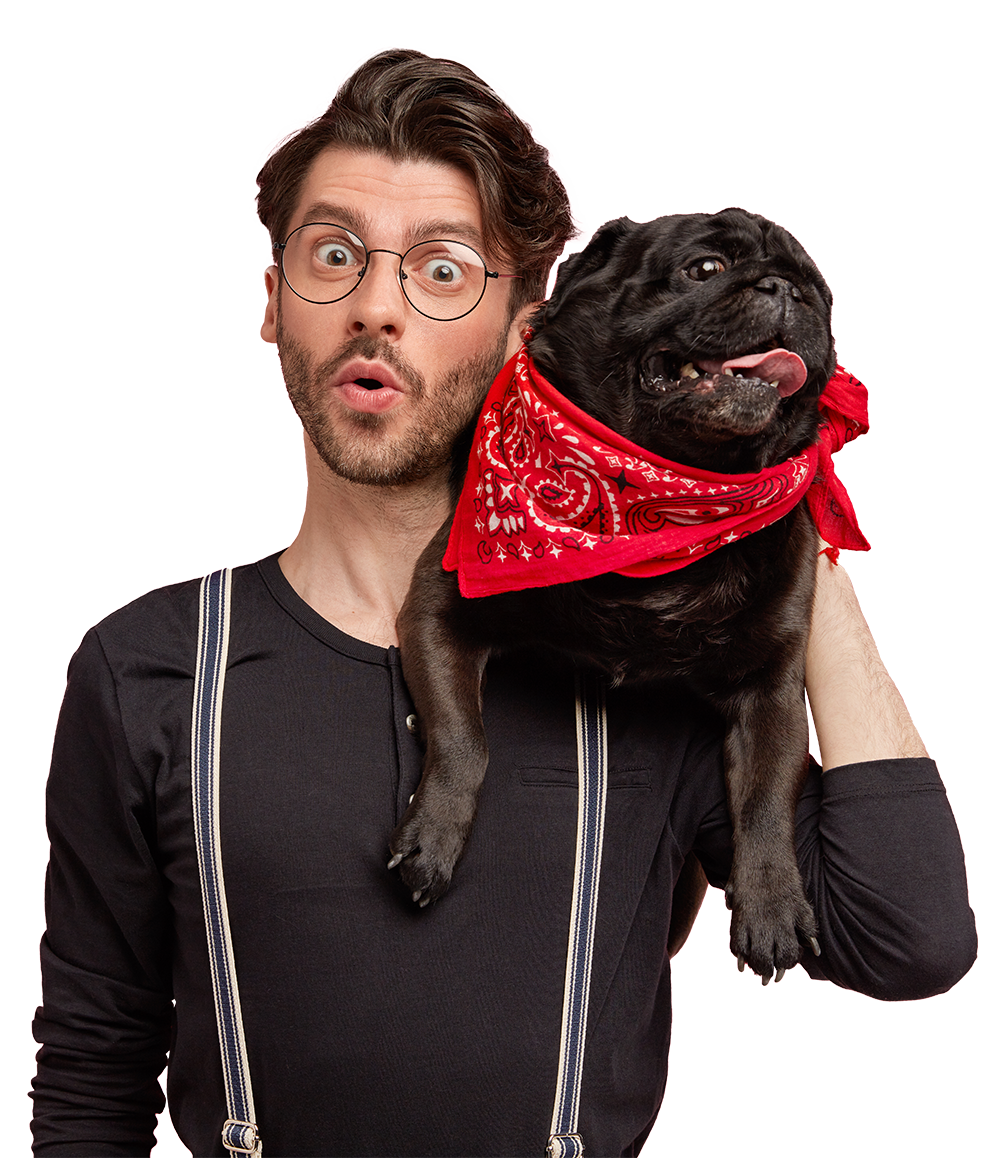 Ein Mops sitzt auf der Schulter eines Mannes