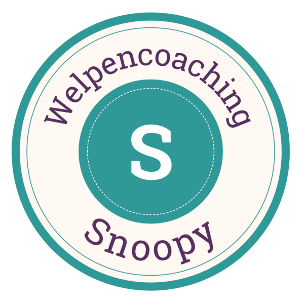 Welpencoaching Paket S