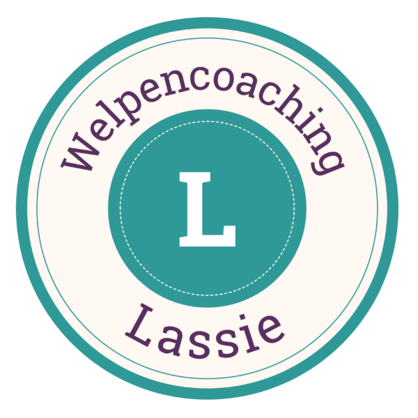 Welpencoaching Paket L