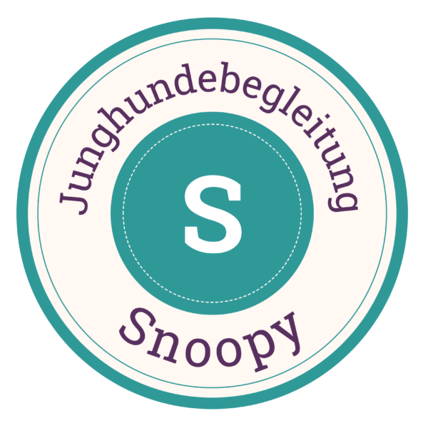 Junghundebegleitung Paket S
