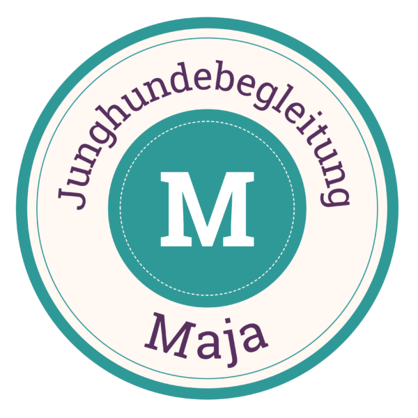 Junghundebegleitung Paket M