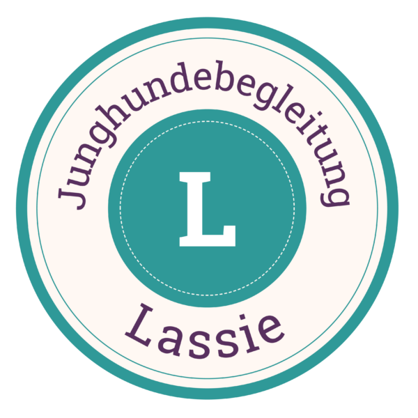 Junghundebegleitung Paket L