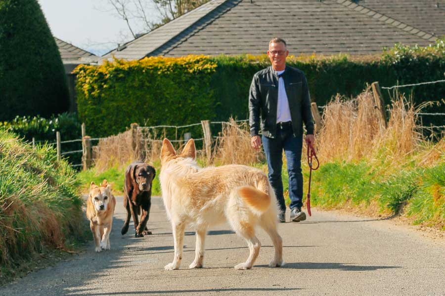 Sascha Heller und seine drei Hunde sind in der Natur unterwegs